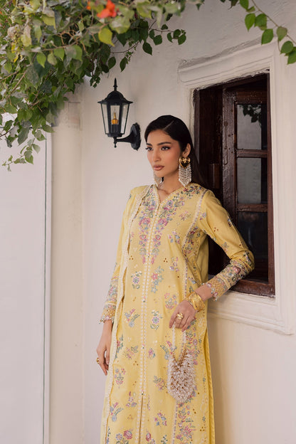 Aafreen 3PC