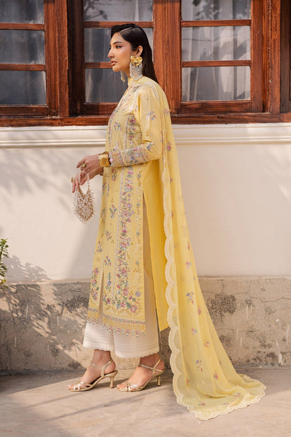 Aafreen 3PC