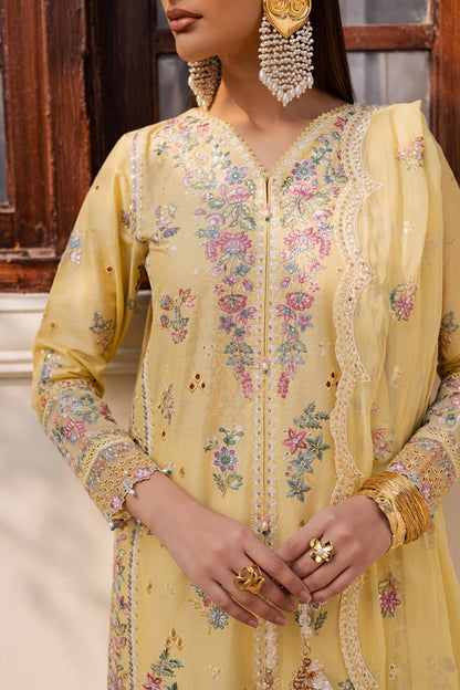 Aafreen 3PC