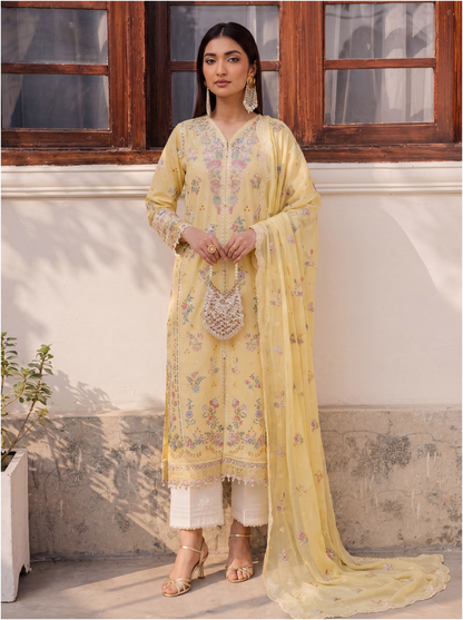 Aafreen 3PC